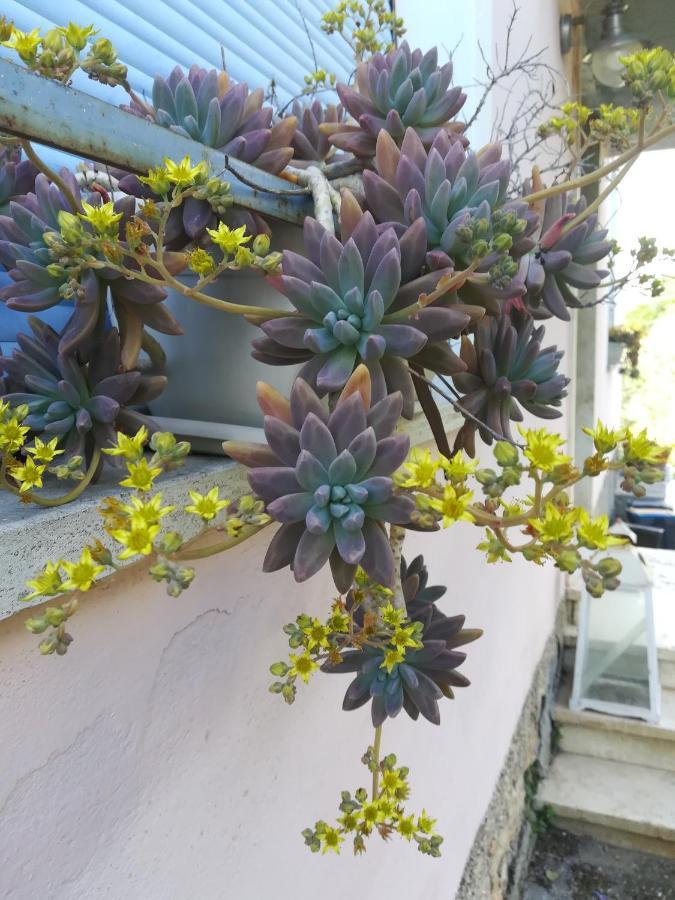 Tramonti E Valli Calvi dellʼ Umbria Eksteriør billede