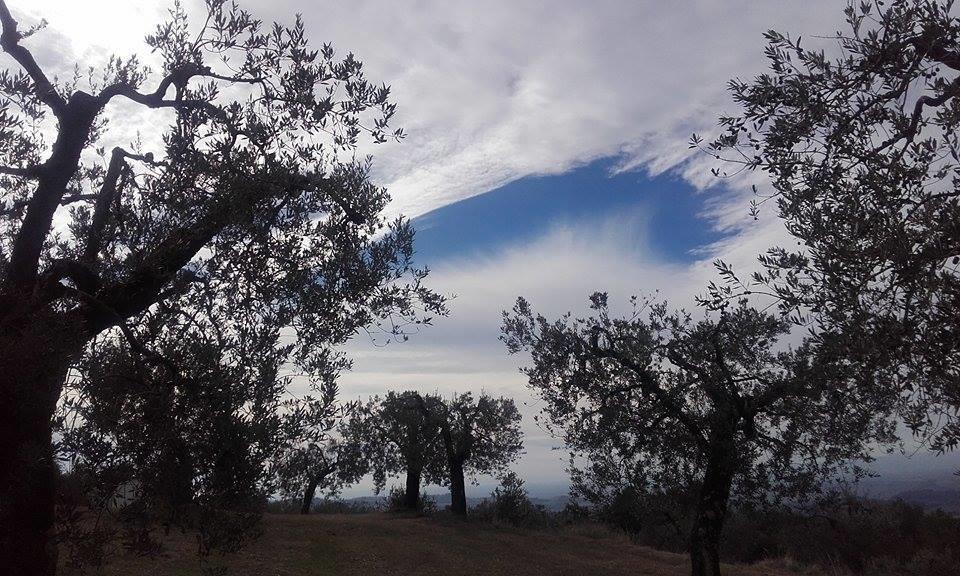 Tramonti E Valli Calvi dellʼ Umbria Eksteriør billede